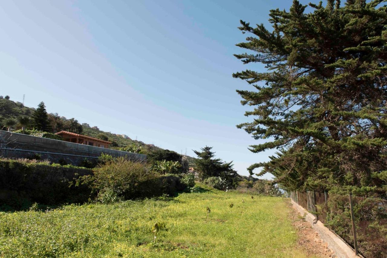 Casas En Ecológica El Biclen, Naturaleza, Calma Y Vistas Al Mar, Сasa de vacaciones Icod el Alto