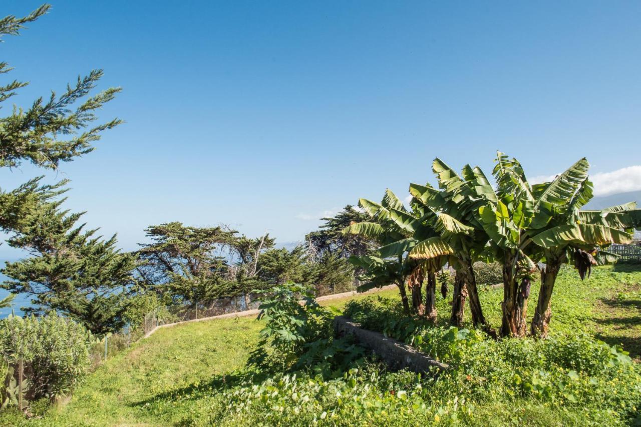 Casas En Ecológica El Biclen, Naturaleza, Calma Y Vistas Al Mar, Сasa de vacaciones *