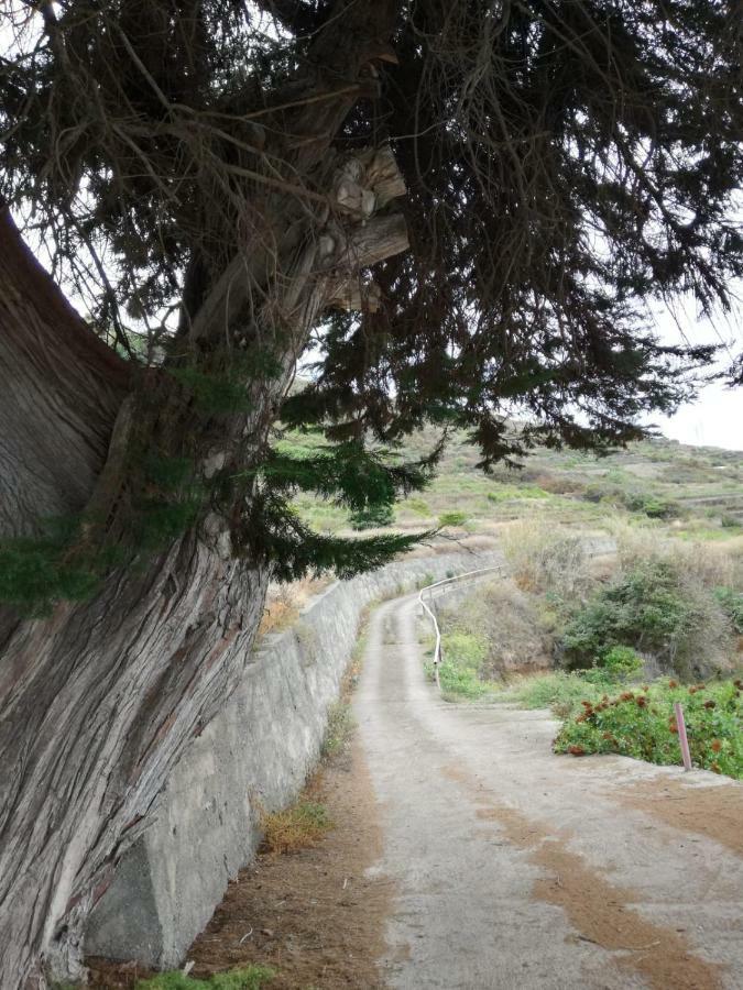 Casas En Ecológica El Biclen, Naturaleza, Calma Y Vistas Al Mar, Сasa de vacaciones *